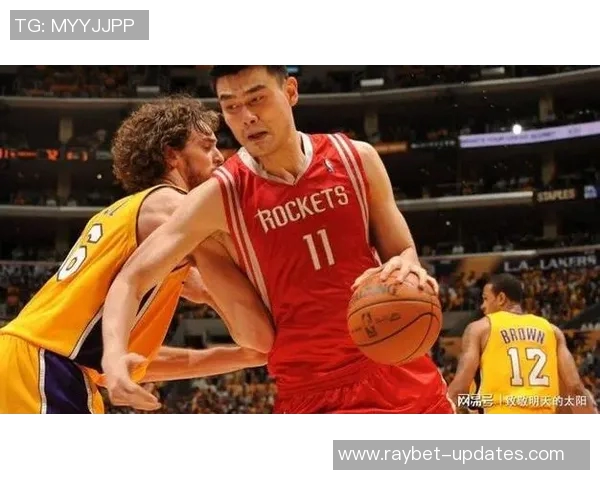 姚明职业生涯全景回顾与精彩瞬间深度解析合集